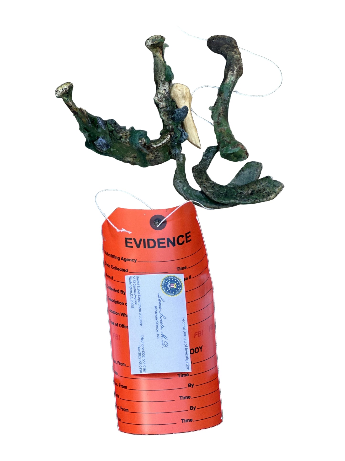 BONES: Dr Brennan's Bones Props with Evidence tag + Sweets’ business Card