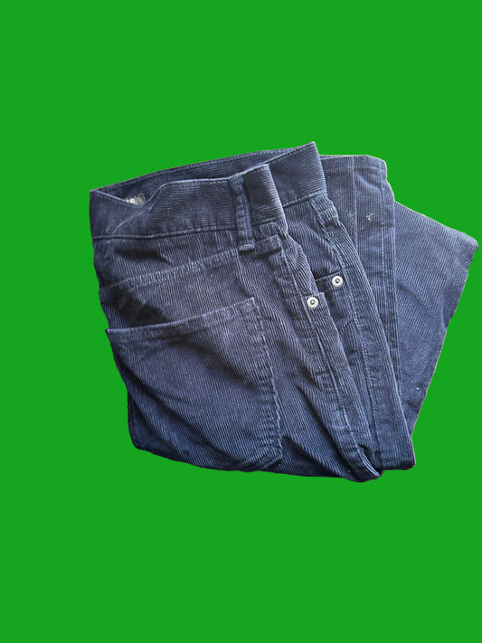 SILICON VALLEY: Richard’s HERO BANANA REPUBLIC custom Blue Corduroy Pants (30/32)