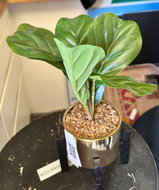 THE OFFICE: Pam’s Faux Office Plant