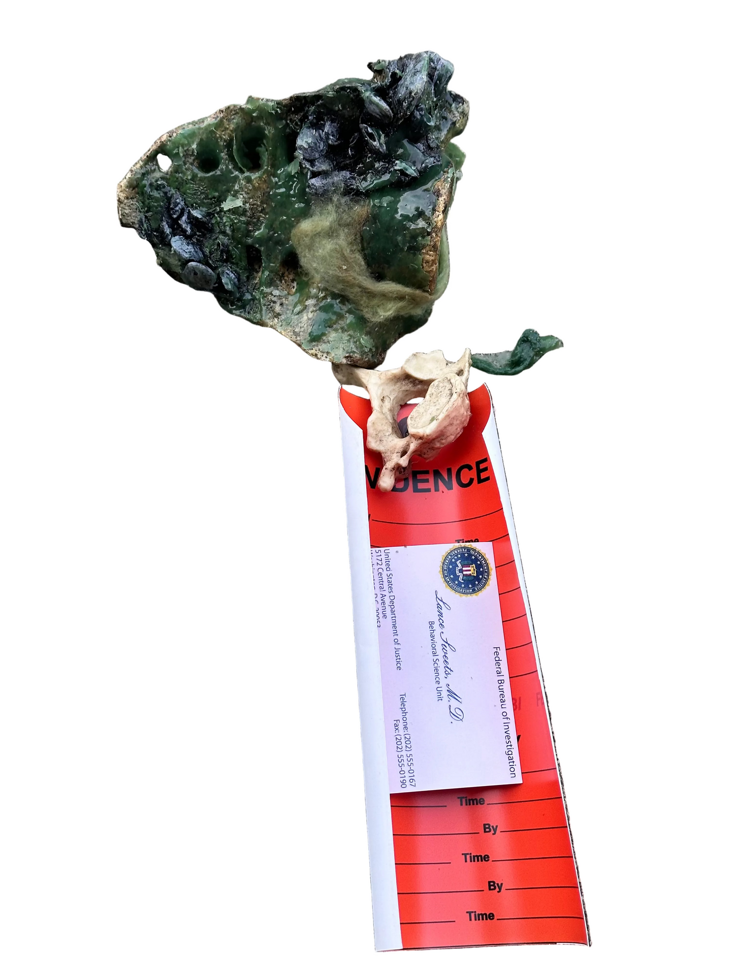 BONES: Dr Brennan's Bones Props with Evidence tag + Sweets’ business Card