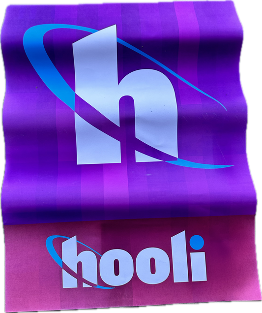 SILICON VALLEY: Gavin’s Hooli Office Poster