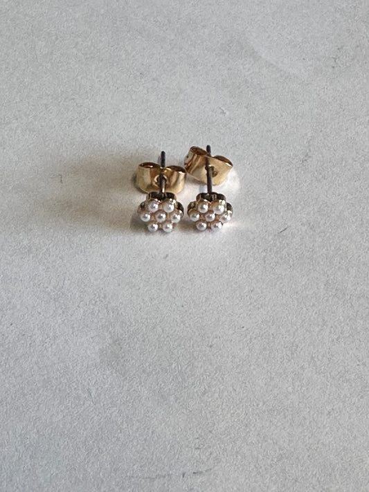 HOUSE: Dr Remy “13” HERO Earrings