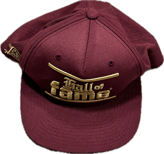 NEW GIRL: Winston's FAME SnapBack Hat