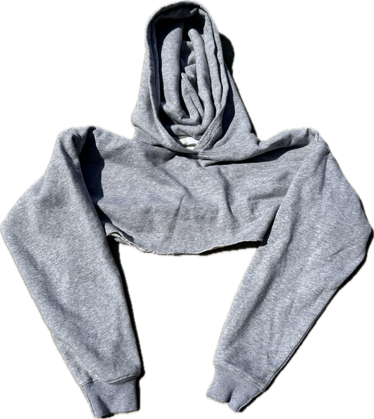 SHADES OF BLUE: Harlee Santos Grey Croptop Hoodie (M)