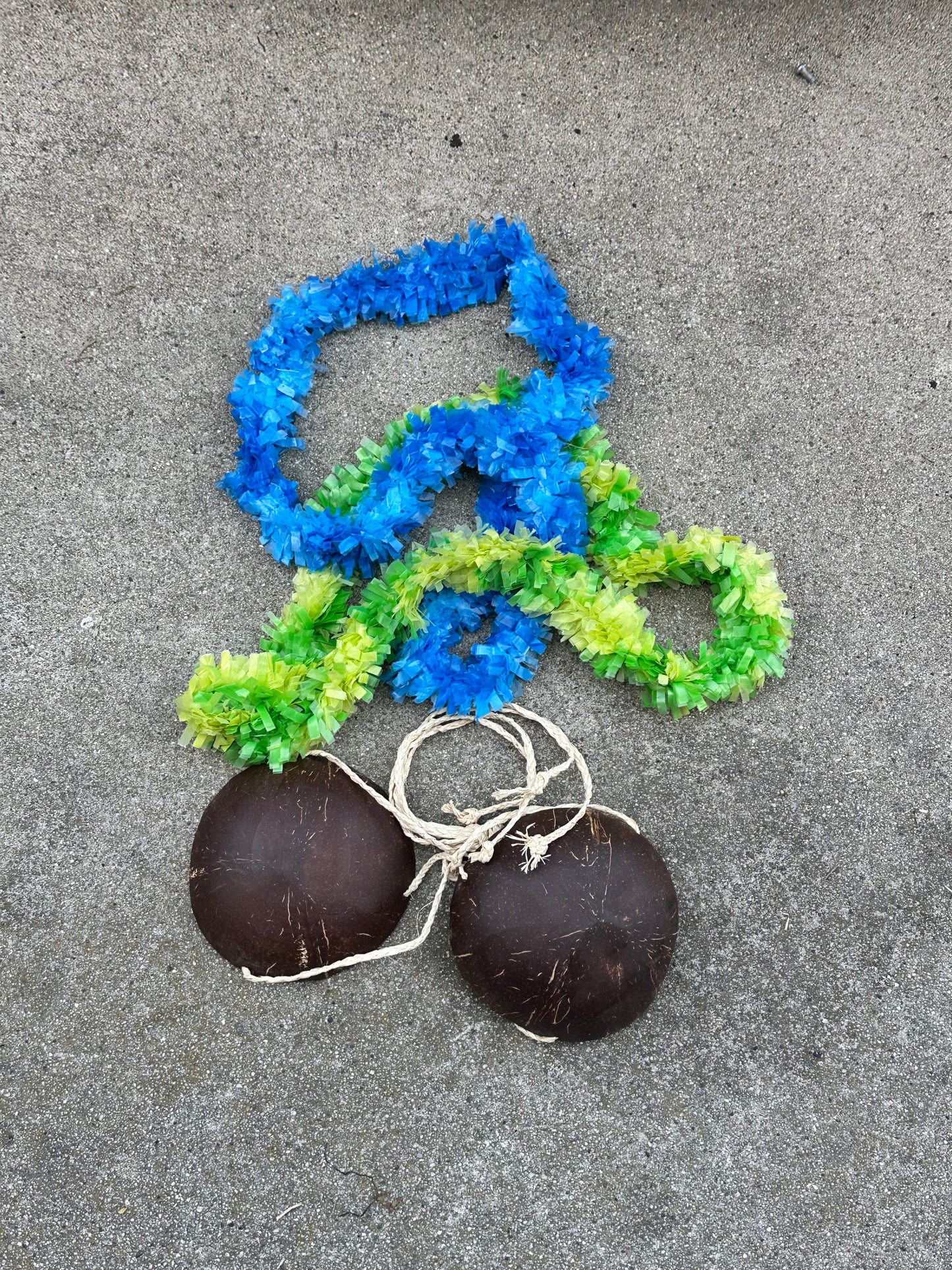 SILICON VALLEY: Richard and Team Final Season and Pied Piper Luau office Party Supplies