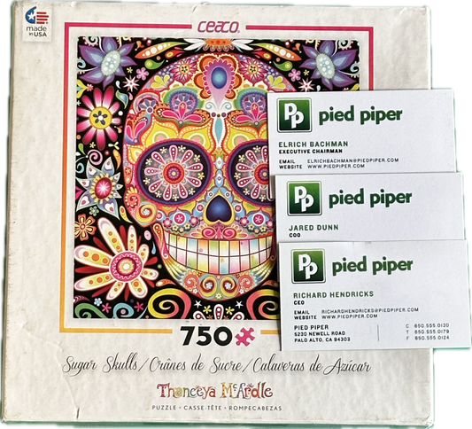 Silicon Valley: Richard’s Hacker Hostel Puzzle and  Pied Piper and Team Cards