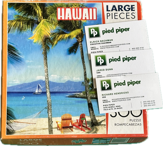 Silicon Valley: Richard’s Hacker Hostel Puzzle and  Pied Piper and Team Cards