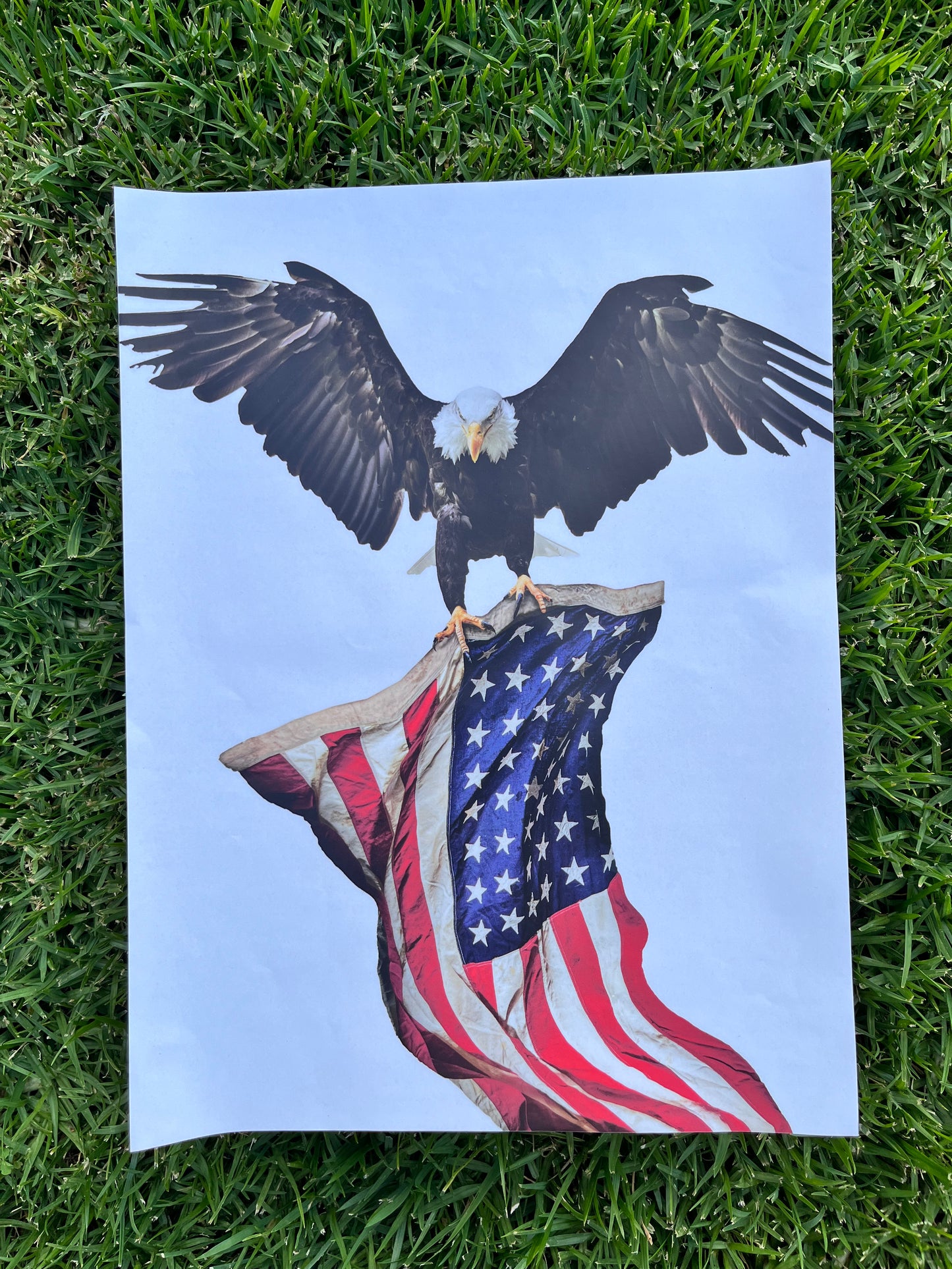 SONS OF ANARCHY: Jax American Flag & Eagle Teller Morrow Sticker