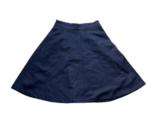 NEW GIRL: CeCe Ann Taylor Blue Designer Skirt (6)