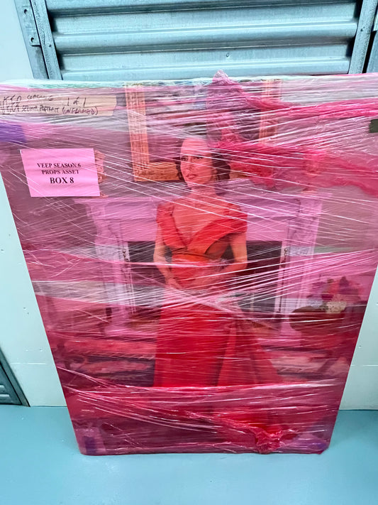 VEEP: Selina Meyer's unframed 6ft x 4ft Picture (Pick up only)
