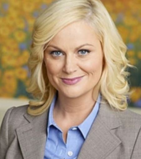 PARKS AND RECREATION: Leslie Knope's THEORY Blue Shirt (M)