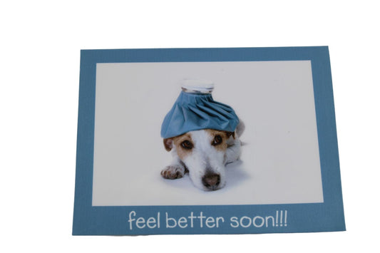 BONES: Seeley Booth's Get Well Soon Card