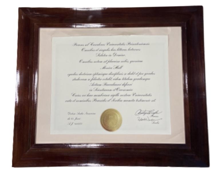 SILICON VALLEY: Monica's Princeton Diploma
