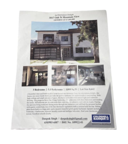 SILICON VALLEY: Denpok's Real Estate Listing Flyer