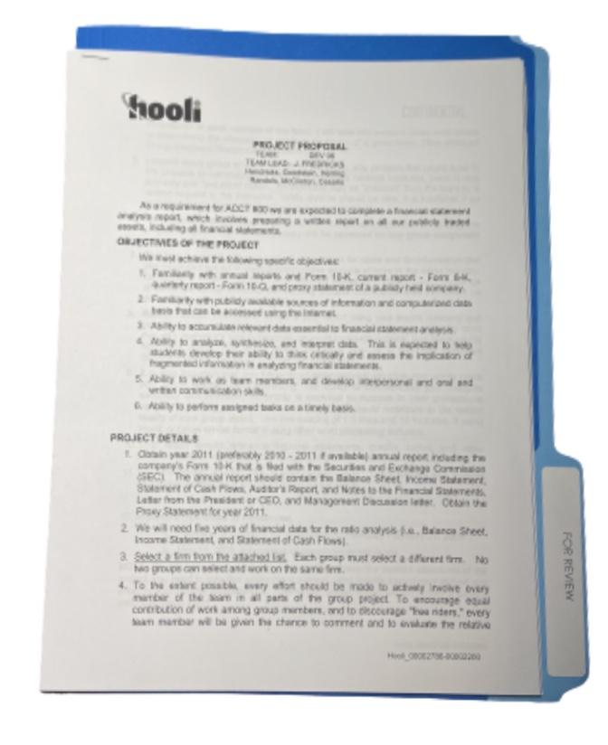 SILICON VALLEY: Hooli Financial Statement Analysis Report