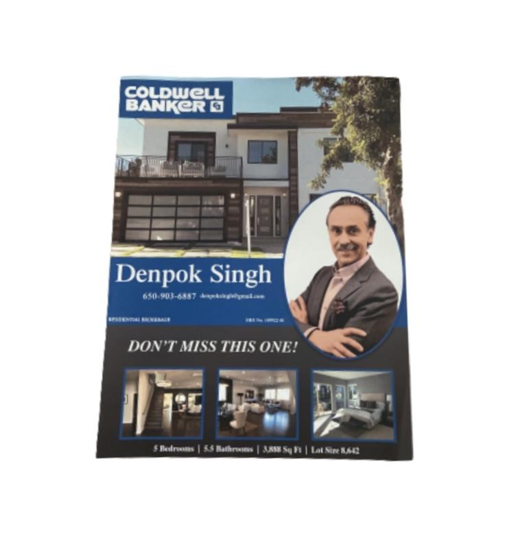 SILICON VALLEY: Denpok's Real Estate Listing Flyer