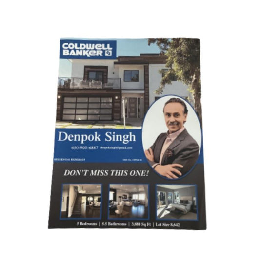 SILICON VALLEY: Denpok's Real Estate Listing Flyer