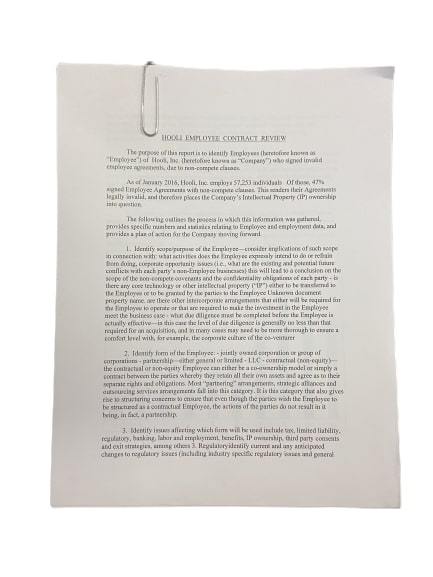 SILICON VALLEY: Big Head Hooli Employee Contract