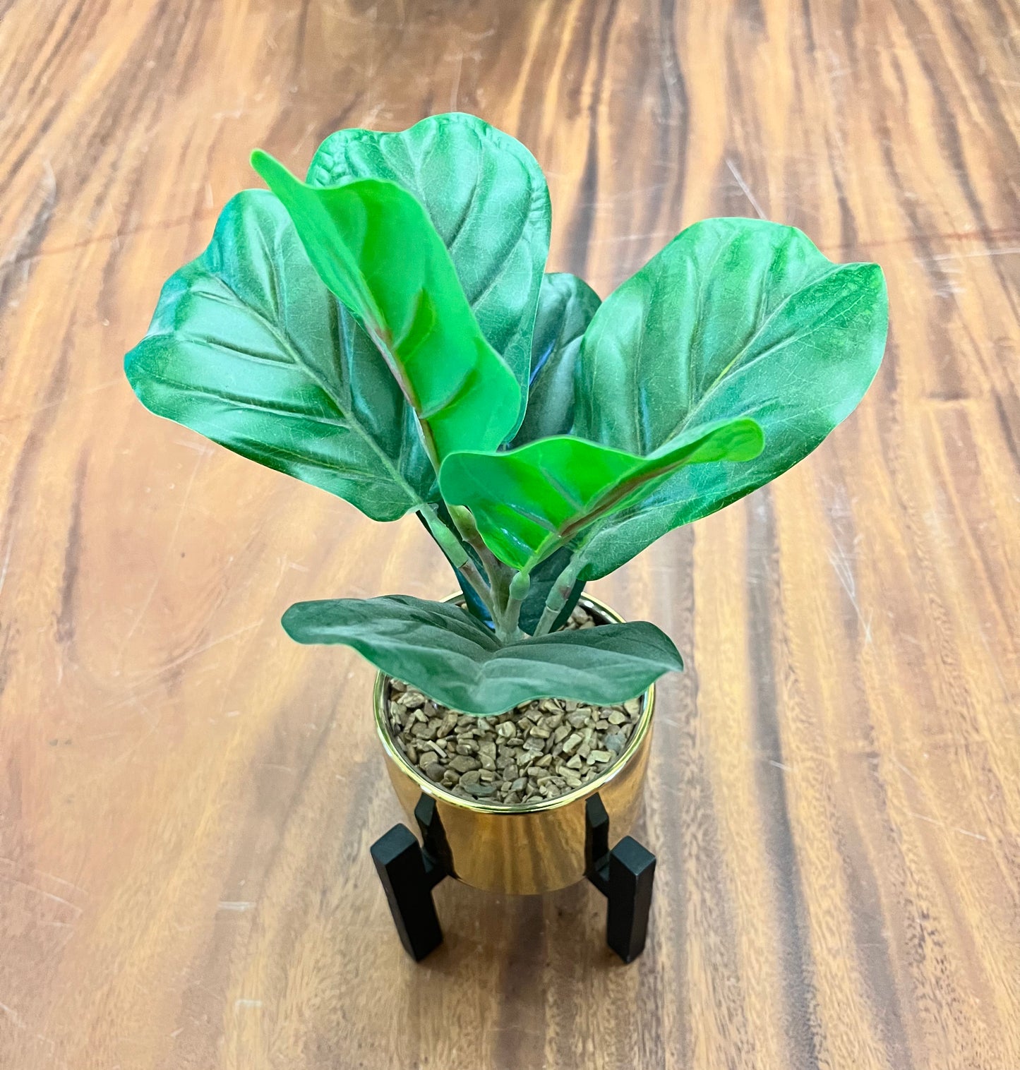 Silicon Valley: Gavin's Gold Potted Fake Plant
