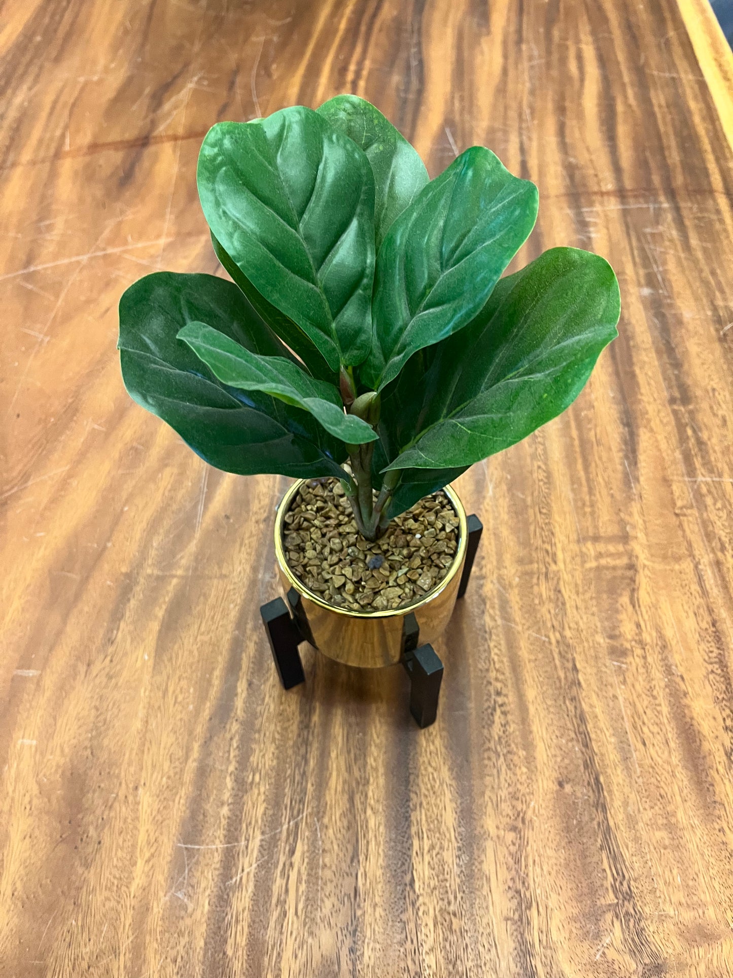 Silicon Valley: Gavin's Gold Potted Fake Plant